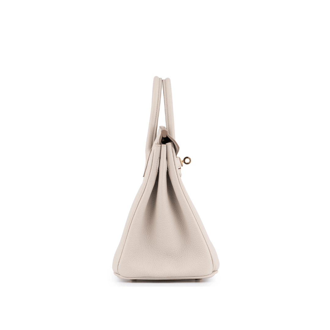 Birkin 25 Bag